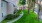 outdoor grassy area with a sidewalk